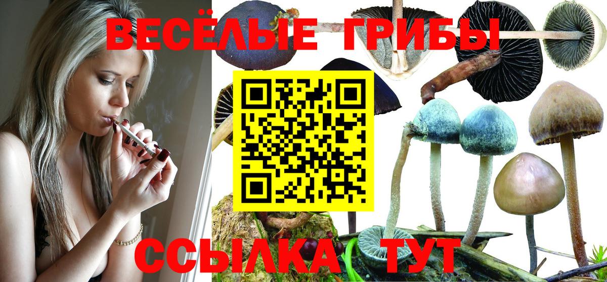 Псилоцибиновые грибы Magic Shrooms  Галлюциногенные грибы ЛСД  Кузнецк  Вход с VPN 
